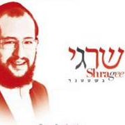 ויקיפליי | כל מה שרציתם לדעת על שרגי גשטטנר • האזינו >>